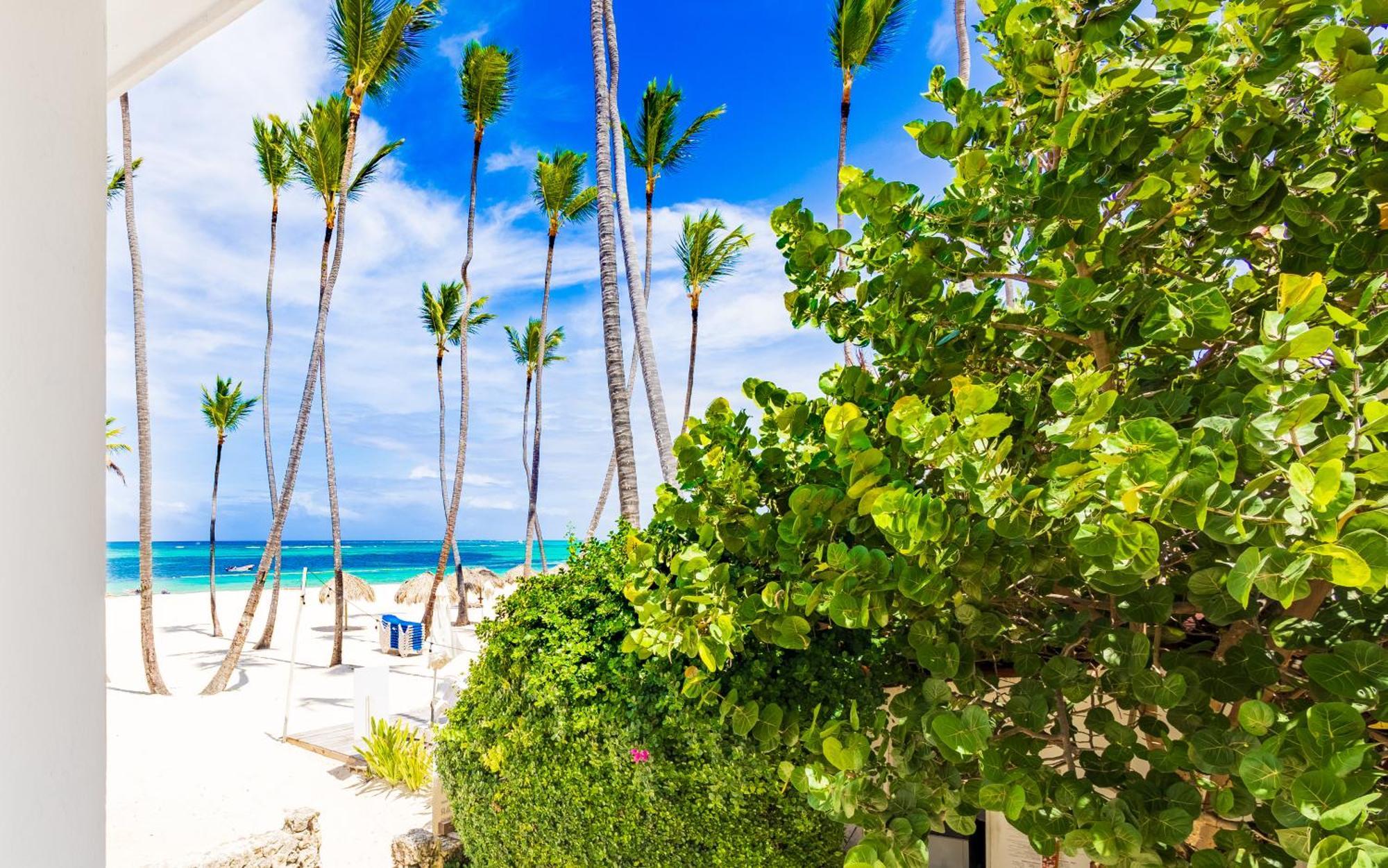 Prime Ocean View Punta Cana Apartments - 3-Bedroom Getaway With Private Terrace On Bavaro Beach ภายนอก รูปภาพ